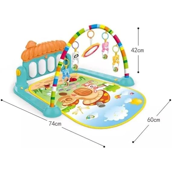 Baby Playmats & Play Gym