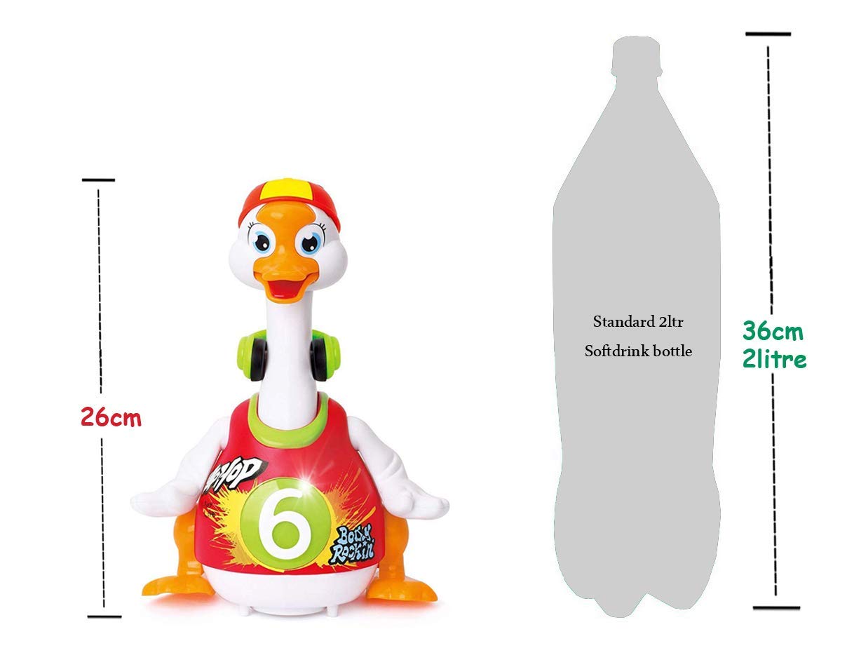 Swing Goose