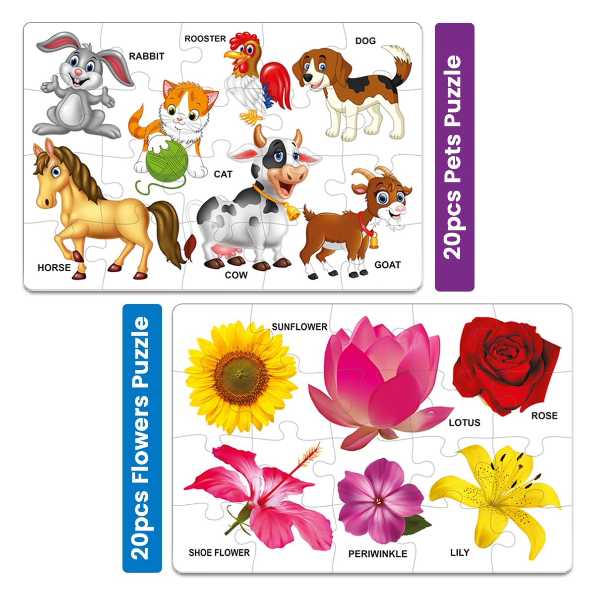 Jigsaw Puzzle Library for Kids | Set of 8 Edu Subjects | 160 Pcs Puzzle