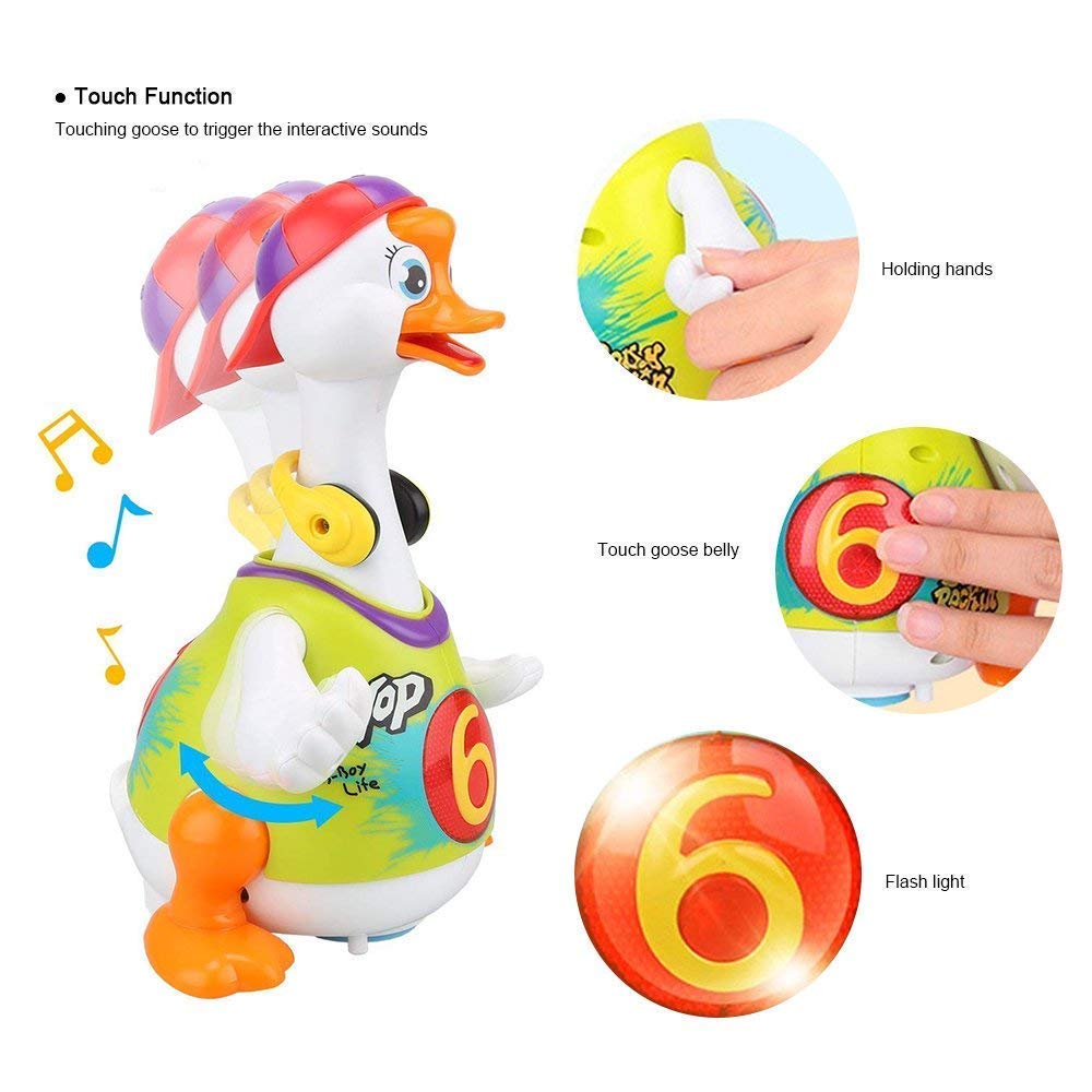 Swing Goose