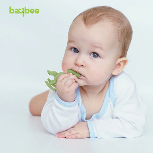 Teether for Baby Food Grade BPA Free Pacifier for Toddler