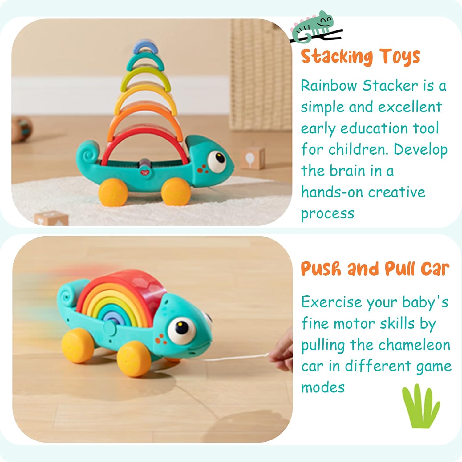 Rainbow Chameleon