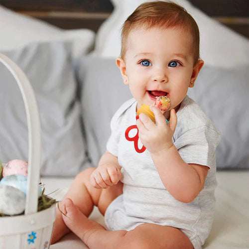 Fruit Nibbler & Baby Food Feeder Baby Teether