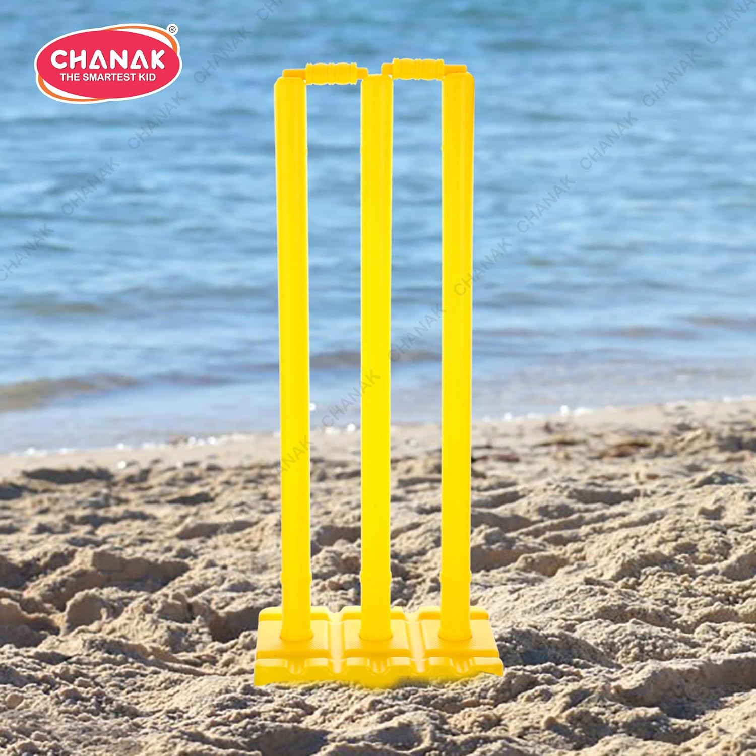 Big Cricket Stumps Kit