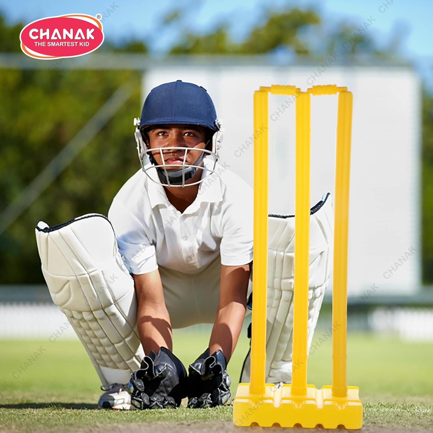 Big Cricket Stumps Kit