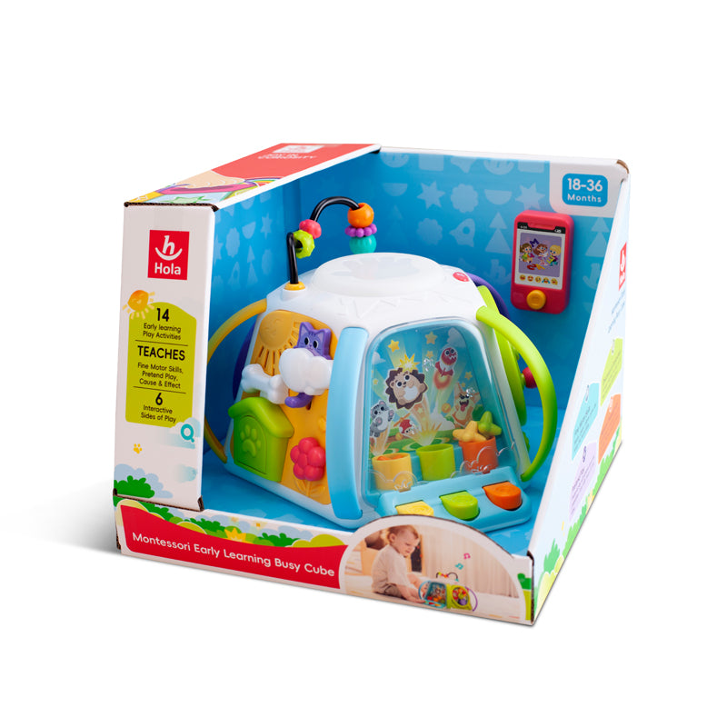 Montessori Early Learning Busy Cube