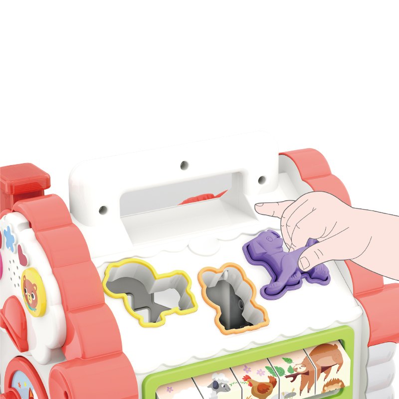 Activity House Shape Sorter