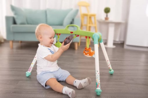 Portable Baby Gym