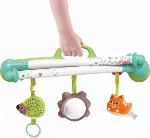 Portable Baby Gym