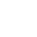 Fast shipping