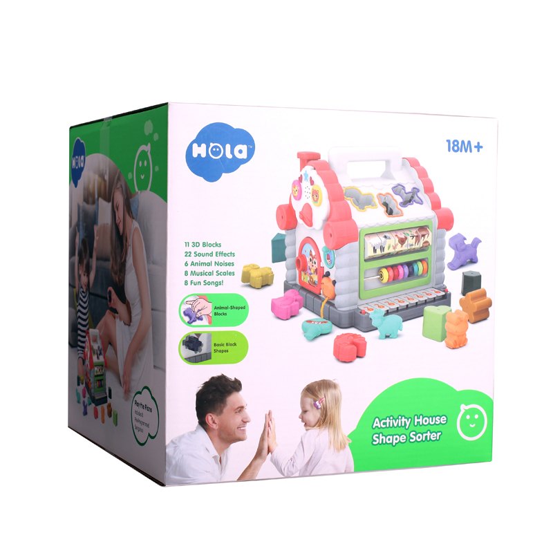 Activity House Shape Sorter