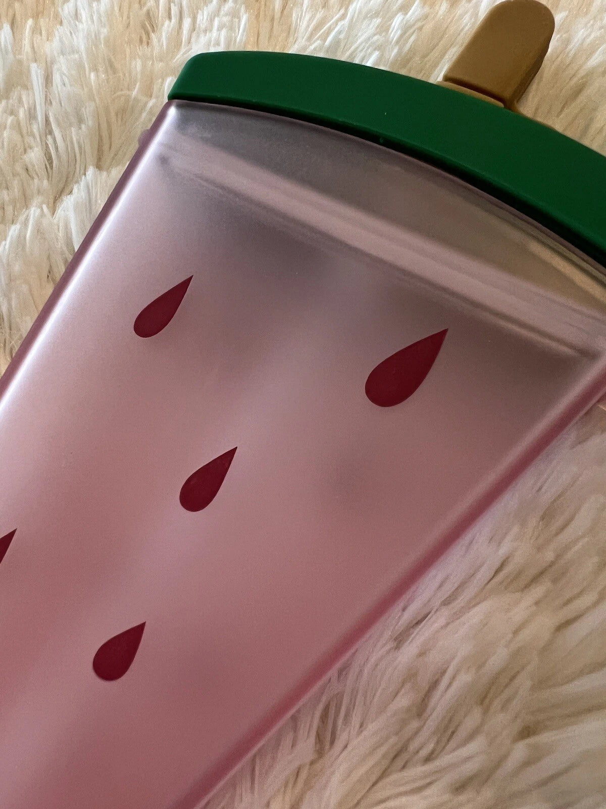 Plastic Water Bottles