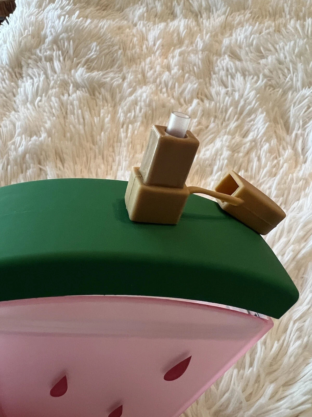 Plastic Water Bottles