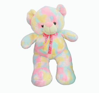 Standing Rainbow Teddy