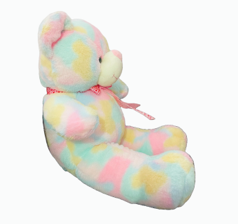 Standing Rainbow Teddy