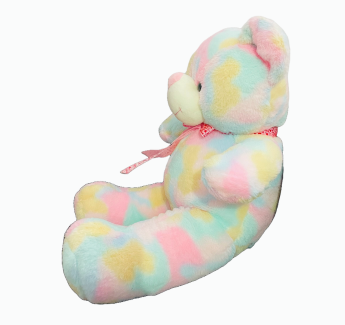 Standing Rainbow Teddy